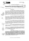 Vista preliminar de documento RDR 9238-2024