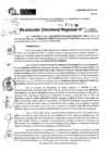 Vista preliminar de documento RDR 9240-2024
