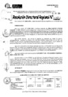 Vista preliminar de documento RDR 9251-2024