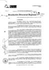 Vista preliminar de documento RDR 9252-2024