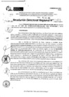 Vista preliminar de documento RDR 9255-2024