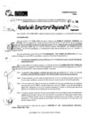 Vista preliminar de documento RDR 9261-2024