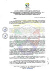 Vista preliminar de documento RCO 389