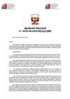 Vista preliminar de documento Resolución Directoral