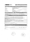 Vista preliminar de documento PERFIL - 2 TEC ASISTENCIAL SSGG
