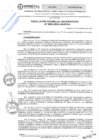 Vista preliminar de documento Resolución Asamblea Universitaria N° 0006-2024-UNHEVAL