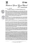 Vista preliminar de documento RESOLUCION DE GERENCIA GENARL REGIONAL N°876-2024