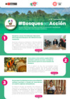 Vista preliminar de documento boletin_noviembre_2024 (1)