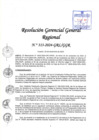 Vista preliminar de documento RGGR 313-2024-GRL-GGR