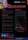 Vista preliminar de documento Ficha olivo