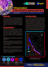 Vista preliminar de documento Ficha vid