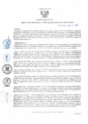 Vista preliminar de documento rd207
