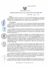 Vista preliminar de documento rd205