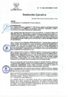 Vista preliminar de documento RE N° 72-2024-OEA-INSM