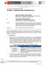 Vista preliminar de documento INFORME-000028-2024-DCC-CCC