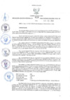 Vista preliminar de documento RES-620-2024-GR