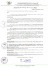 Vista preliminar de documento AC_111_2024_MDI