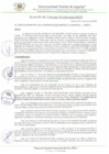 Vista preliminar de documento AC_106_2024_MDI