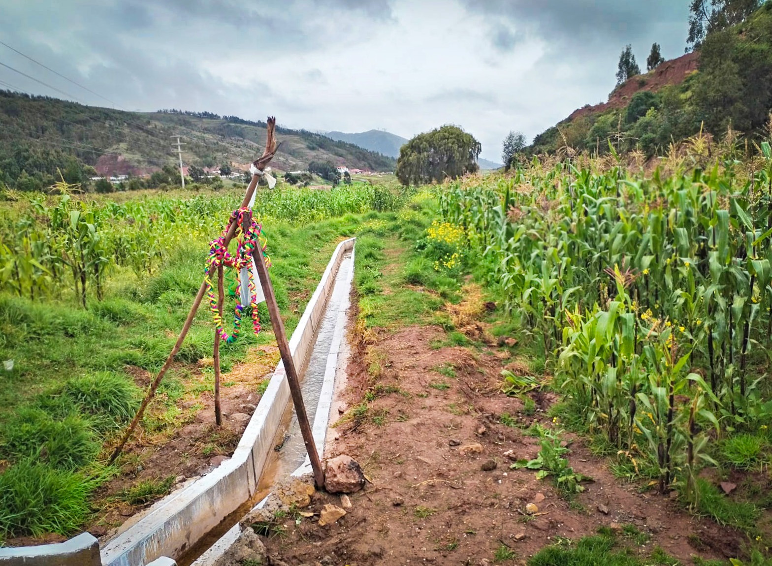 AGRO RURAL