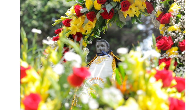 𝗛omenaje a 𝐒an 𝐌artìn de Porres