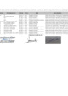 Vista preliminar de documento PLAZAS VACANTES