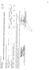 Vista preliminar de documento CMN-376