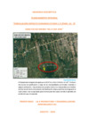 Vista preliminar de documento memoria Descriptiva- PLANEAMIENTO INTEGRAL