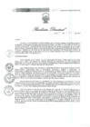 Vista preliminar de documento RD 206 DG 2024