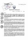 Vista preliminar de documento RD N° 246-2024-DE/HJATCH