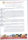 Vista preliminar de documento Documento005383