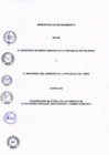 Vista preliminar de documento MdE Minam-MMA Finlandia