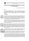 Vista preliminar de documento RGMAF-218-2024
