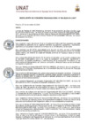 Vista preliminar de documento RESOLUCIÓN DE COMISIÓN ORGANIZADORA N° 596-2024-CO-UNAT