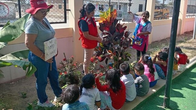 Implementación de huertos escolares