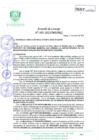 Vista preliminar de documento 81 AC 2023