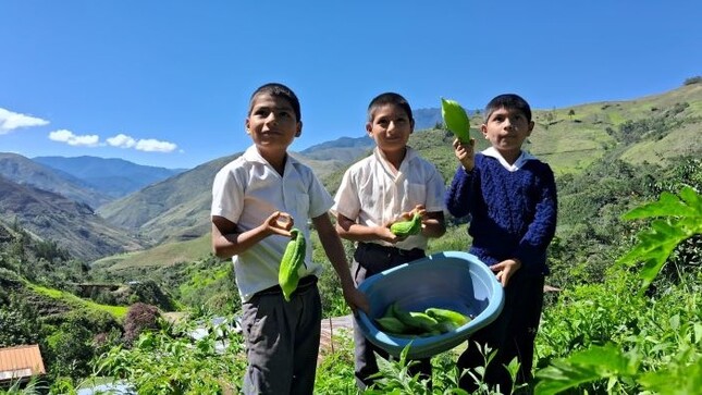 Complementan con alimentos frescos