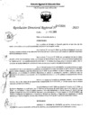 Vista preliminar de documento RDR 5196-2023