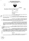 Vista preliminar de documento RDR 5211-2023