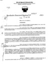 Vista preliminar de documento RDR 5217-2023