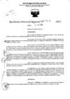 Vista preliminar de documento RDR 5233-2023