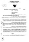 Vista preliminar de documento RDR 5234-2023