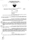 Vista preliminar de documento RDR 5235-2023