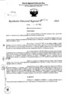Vista preliminar de documento RDR 5236-2023