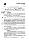Vista preliminar de documento RDR 5239-2023