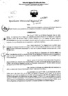 Vista preliminar de documento RDR 5244-2023