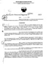 Vista preliminar de documento RDR 5245-2023