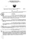 Vista preliminar de documento RDR 5246-2023