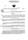 Vista preliminar de documento RDR 5248-2023