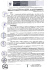 Vista preliminar de documento RGM 207 2024