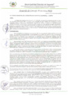 Vista preliminar de documento AC_115_2024_MDI